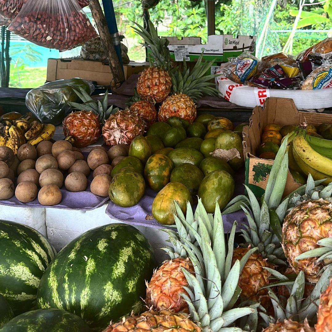 What Your Grocery List Should Include