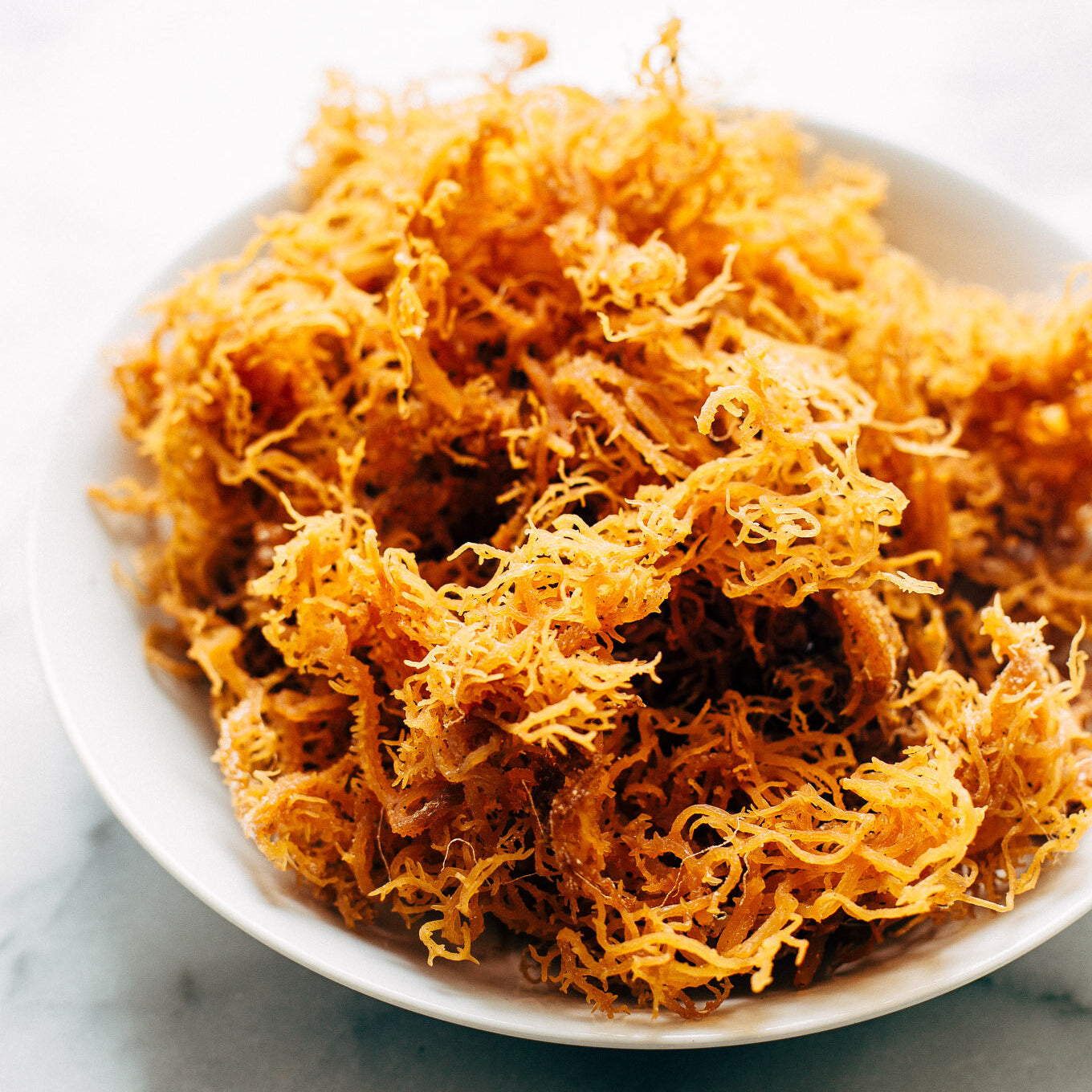 Sea Moss: The Superfood You Need!